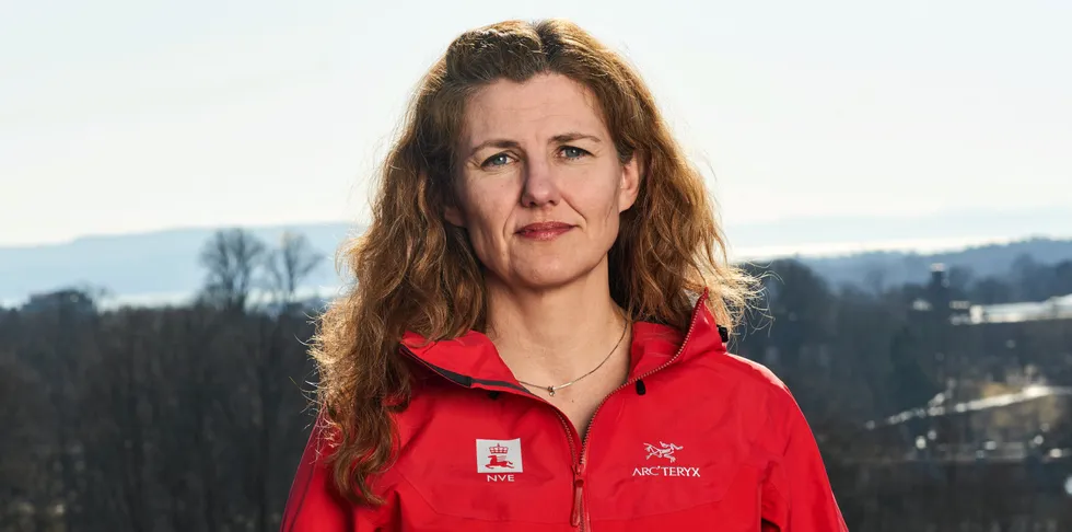 – Vi vil prioritere opp prosjekter som bidrar med betydelig kraftproduksjon i kraftsystemet, sier Inga Nordberg, direktør i energi- og konsesjonsavdelingen i NVE.