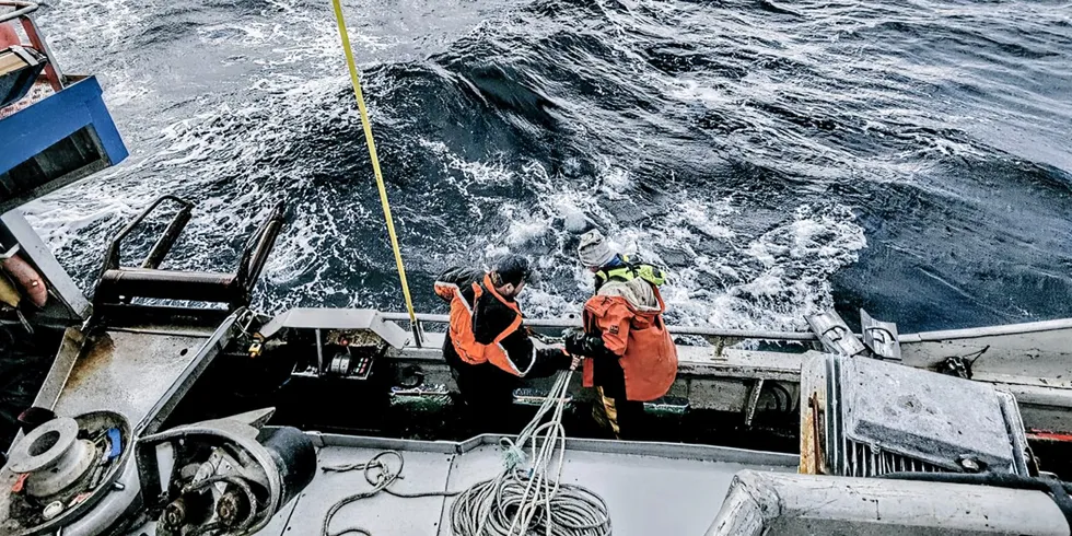 23 døde niser var noe av hva Sjøtjenesten fant da de dro opp garn på et fiskefelt i Troms i vår. Direktoratet sa den gang at de mistenker at garnlenken har stått i sjøen siden november i fjor.