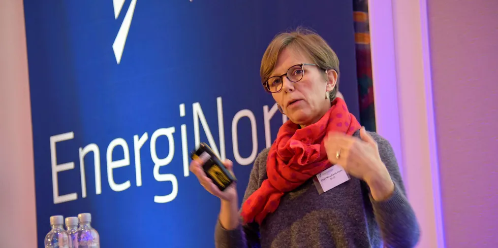 Eldri Holo i NVE håper sjekklisten kan virke oppdragende både på bransjen og IKT-leverandørene.