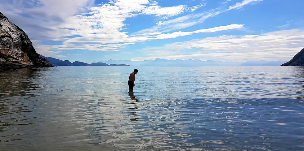 Det er ikke bare på land det finnes dyrebar natur som må beskyttes. Derfor jobber vi med både forvaltningsplaner og lovendringer for å kunne øke beskyttelsen av naturen i havet.