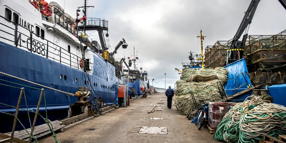 Norge tar imot mye fisk fra russiske trålere. Norge vurderer nå, i likhet med EU, om de skal stenge norske havner for russiske fartøy.