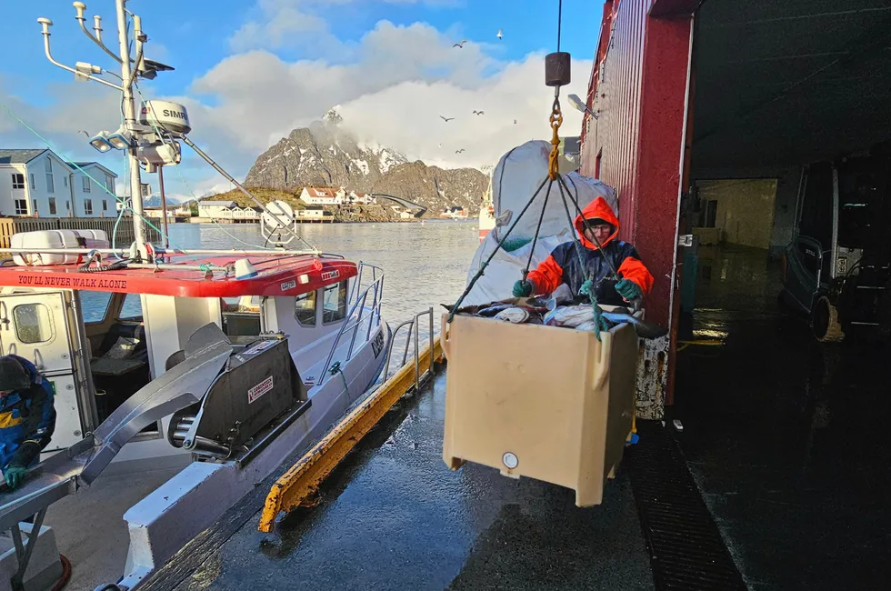 Neste år får fiskerne ta mindre torsk enn i år.