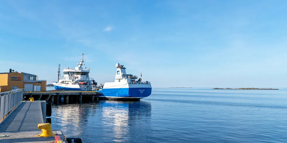 Frøystrand er en av de mange båtene som inngår i flåten til Frøy.