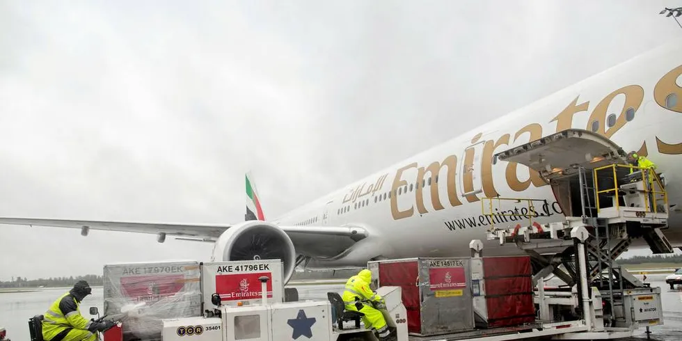 ØKT FLYFRAKT: Norsk laks lastes om bord i Emirates flyet på vei til Dubai. Lakseoppdrettsnæringen blir stadig flinkere til å gjøre driften mer klimavennlig. Men økt flytransport av laks fører til enda mer klimautslipp fra laks.Foto: Øyvind Elvsborg