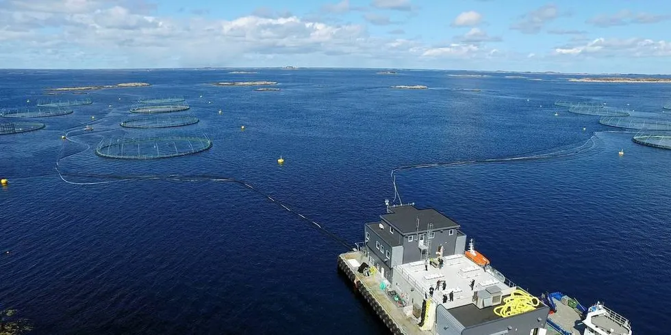 Her flyr en drone mot oppdrettslokaliteten Rataren i Sør-Trøndelag.Foto: Maritime Robotics