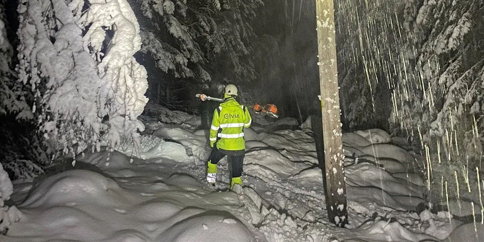 Elvia har rundt 100 mann ute i felt for å feilrette tirsdag.