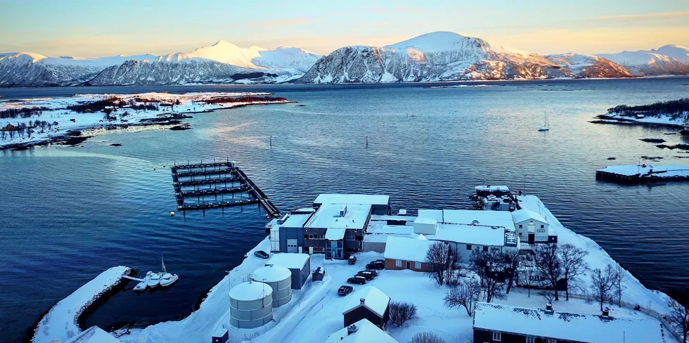 Alsvåg Lakseslakteri ligger i Øksnes kommune i Nordland.