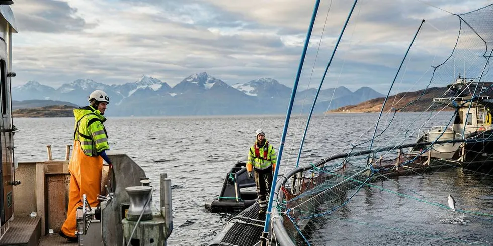 FISK OG PLAST: Lakseoppdrett er i dag en pengemaskin og ifølge den såkalte Sintef-rapporten kan lakseoppdrett bli virkelig stort i 2050. Men et hav full av plast kan sette en stopper for det.Illustrasjonsfoto: Per Thrana, DN