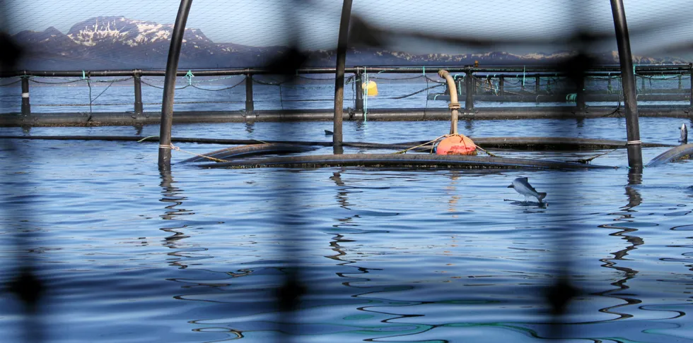 Forskere fra Havforskningsinstituttet er nå på feltarbeid i Nord-Norge i forbindelse med forskningsprosjektet SalCod (se faktaboks nederst i saken).