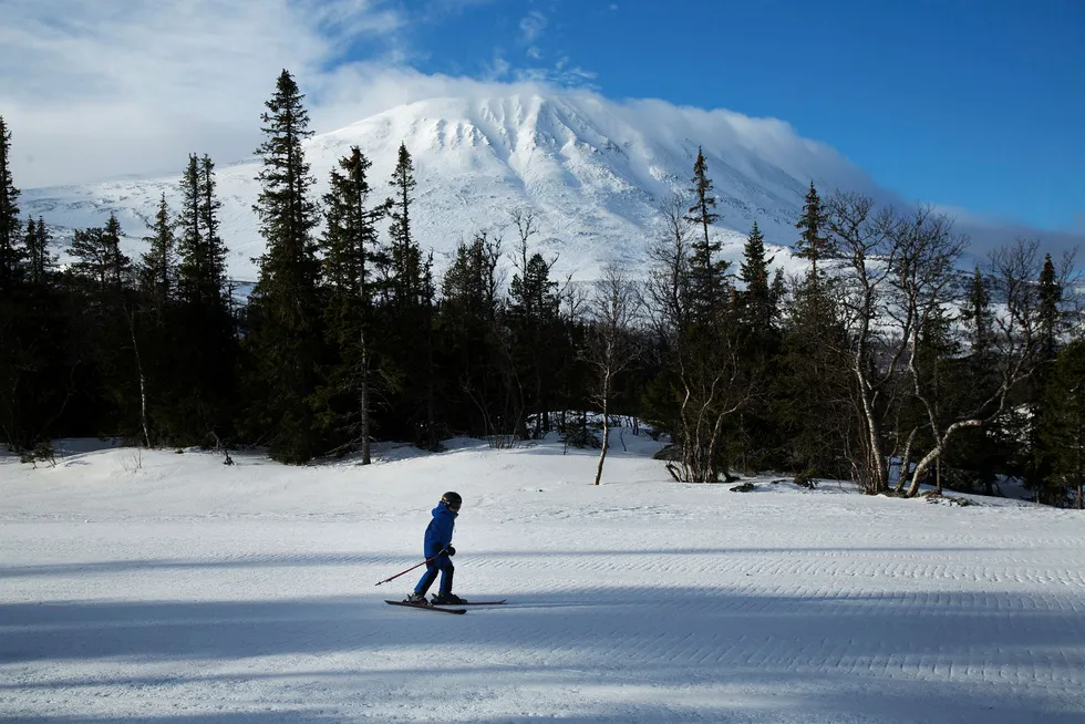 En ung skikjører glir ned løypene under Gaustatoppen.