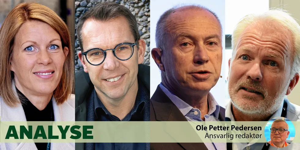 Fra venstre: Ragnhild Fresvik i Eviny, Steffen Syvertsen i Å Energi, Christian Rynning-Tønnesen i Statkraft (for siste gang) og Finn Bjørn Ruyter i Hafslund har alle lagt frem svært gode resultater for fjoråret. Bransjen fikk sitt absolutte toppår i 2023.