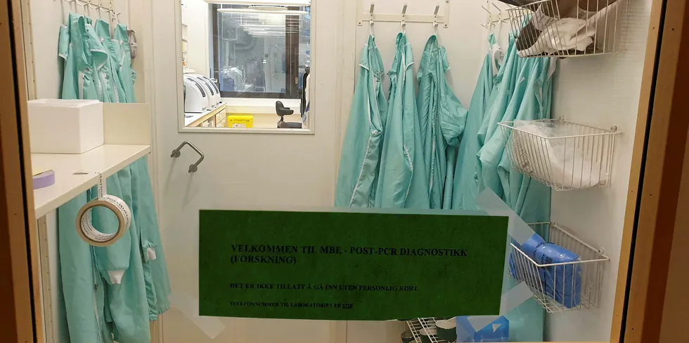 Illustrasjonsfoto fra Veterinærinsituttets molekylærbiologiske laboratorium