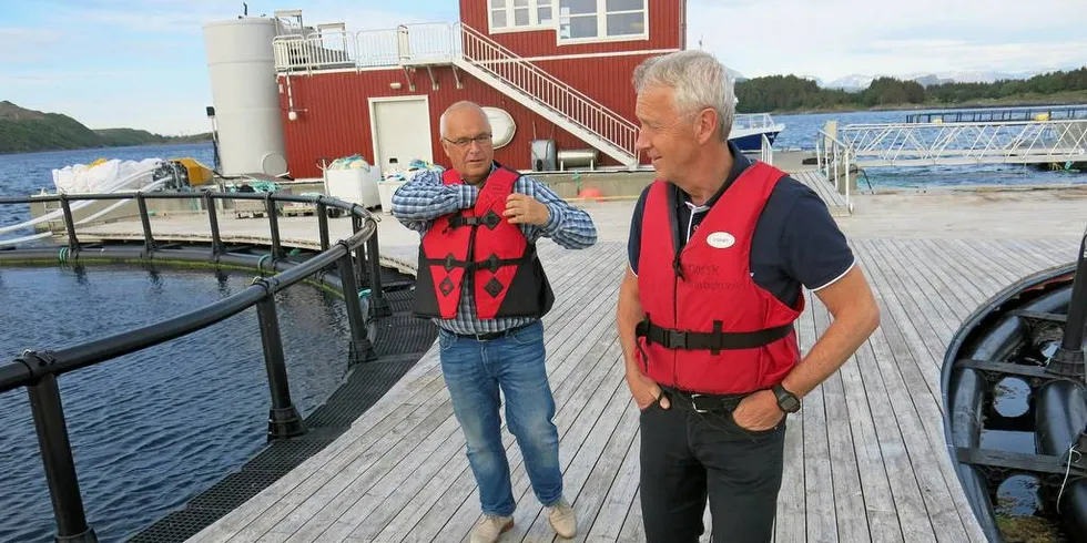 TORSKEOPPDRETTSSEMINAR: Brødrene Paul Birger (t.v.) og Arnfinn Torgnes i Brønnøysund har tro på at det er liv laga med torskeoppdrett. I morgen, tirsdag, er det et torskeoppdrettsseminar i Brønnøysund.Foto: Agnar Berg