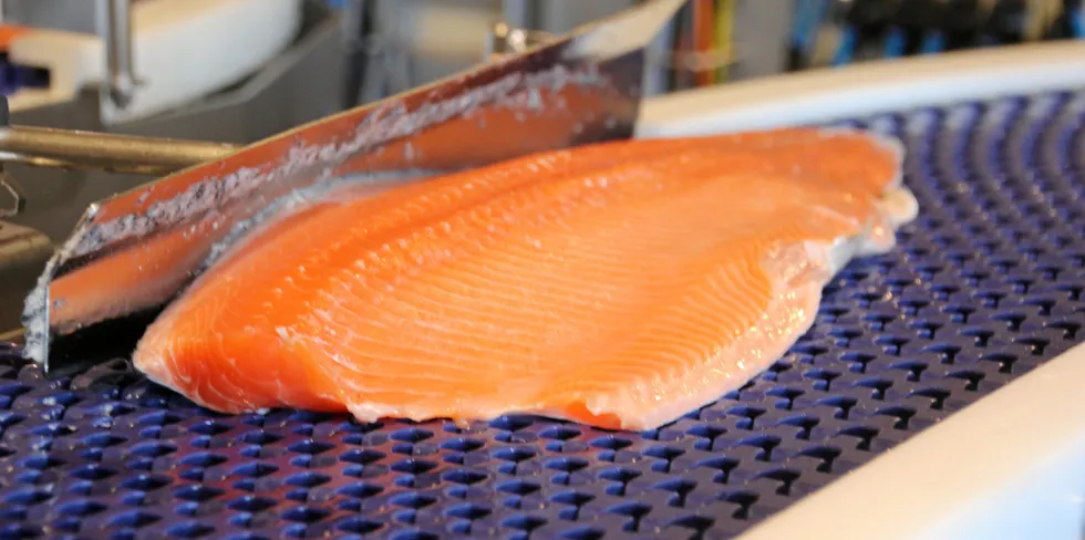 The wider availability of lower-quality salmon in the market has pushed prices of more sought-after, export-quality fish higher, market sources told IntraFish on Friday.