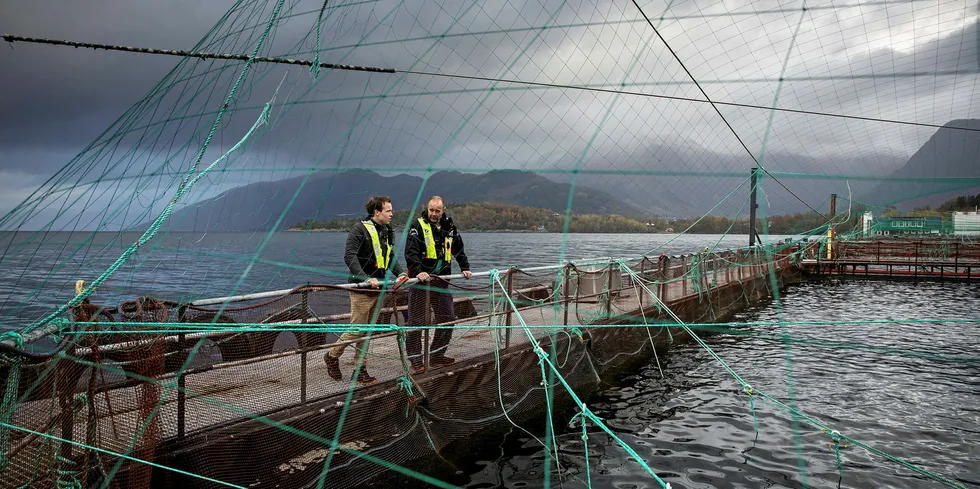 Fra en sped start på 60-tallet har Eide Fjordbruk i dag vokst seg til en milliardbedrift. Erlend Eide (venstre) og Trygve Samnøy på lokaliteten Hågardsneset.