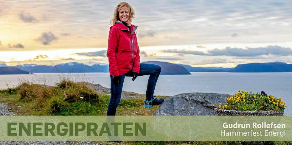 – Enkelte selskaper i bransjer har utnyttet regelverket og fått pepper for det. Det går utover hele bransjen, sier Gudrun Botnen Rollefsen.