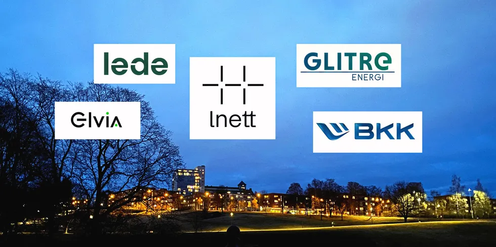 Alle disse hjemmene skal ha strøm, og fra årsskiftet må de fleste privatkunder forholde seg til nye nettleie-modeller. Fem av de største nettselskapene samarbeider nå om lage en felles modell.