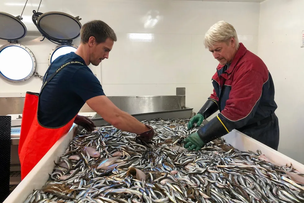 Sortering av tobis på Havforskningsinstituttet sitt tobistokt med "Eros" i april-mai 2020. Forskningstekniker Eirik Odland (t.v.) og maskinist Ronny Petersen.