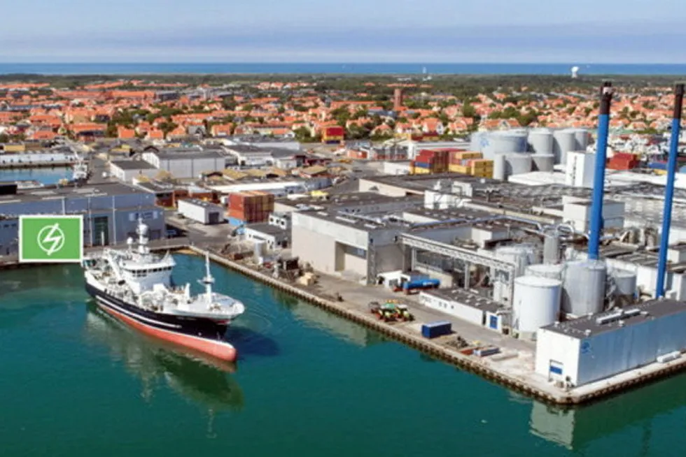 Skagen havn hvor Zinus´ ladepunkter merket med grønt.