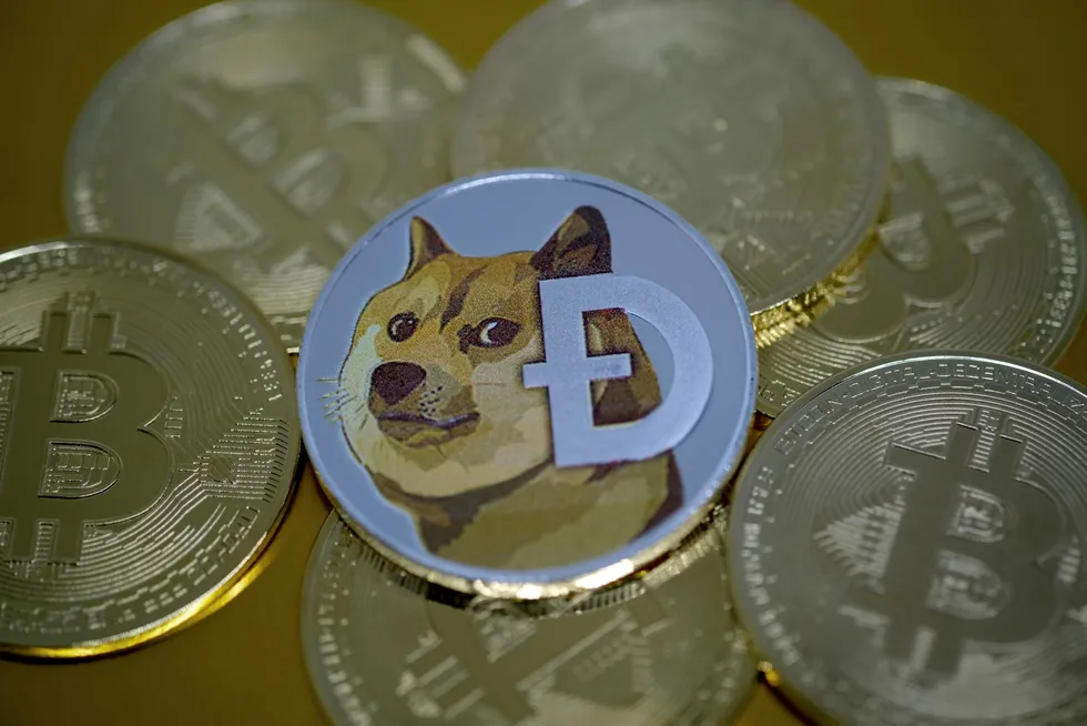 Kryptovalutaen «dogecoin» er blitt en av verdens mest verdifulle kryptovalutaer det siste døgnet