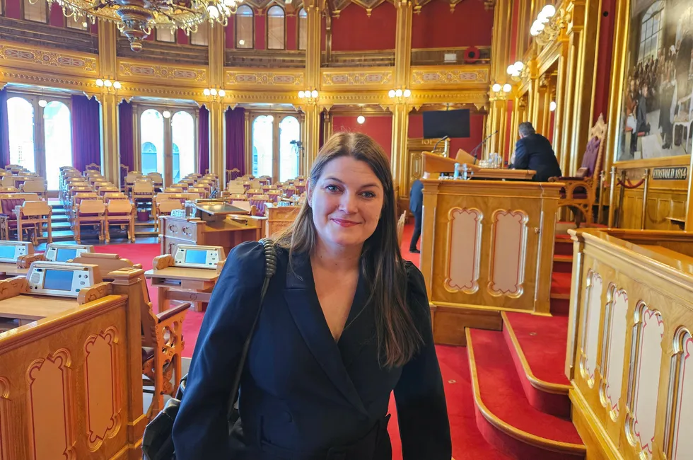 Næringsminister Cecilie Myrseth (Ap).