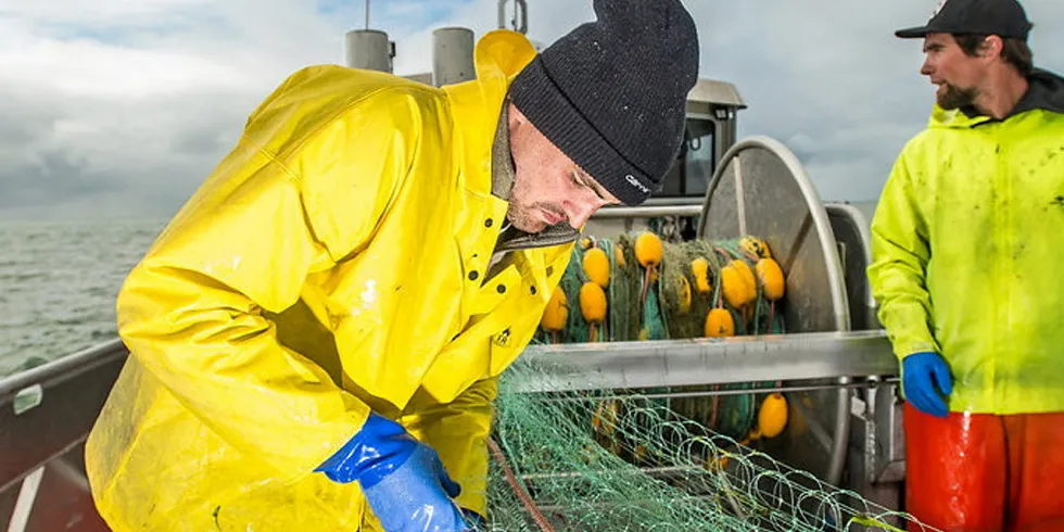 Copper river salmon fishing is predicted to be strong this year for pinks and sockeyes.