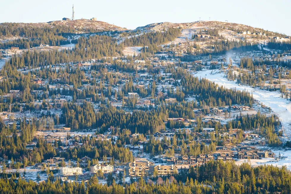 Nesfjellet Alpin i Nesbyen er blant de populære destinasjonene i Nesbyen kommune. I 2020 ble kommunen kåret til «årets hyttekommune» av Norsk Hyttelag.