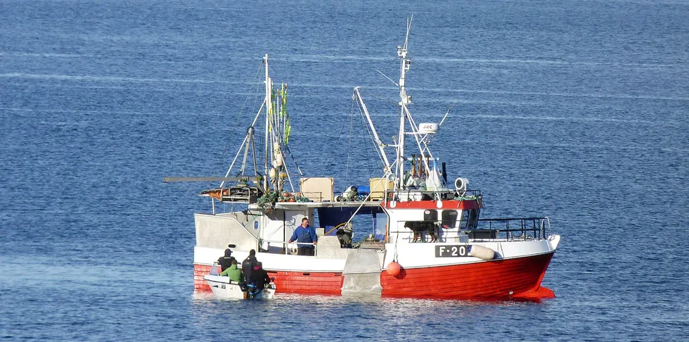 Fiske etter rømt oppdrettslaks i Kvenvika, innerst i Altafjorden, ei mil fra Alta.