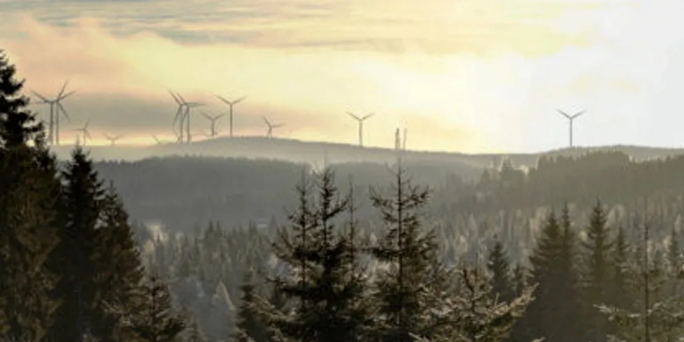 Cloudberry har inngått en avtale om å kjøpe deler av Odal Vindkraftverk. Nå har de sikret deler av finansieringen. Her fra Songkjølen hvor en del av parken skal bygges.
