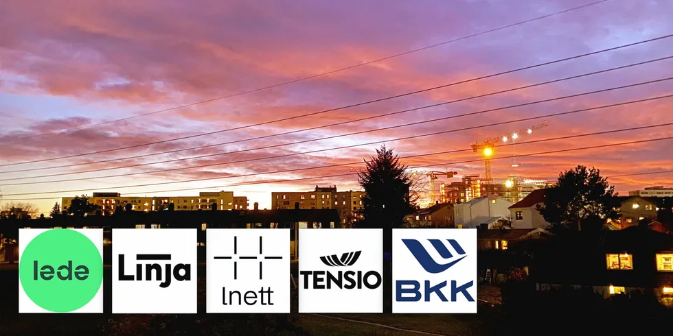 Er app eller web best for kundene når de skal følge med strømforbruket. Nettselskapene har valgt ulike løsninger.