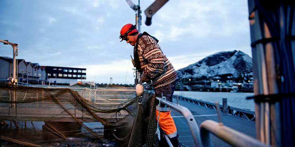 Hvor stort utslipp av klimagasser kommer fra oppdrettsnæringen? Tallene varierer fremdeles, men klimaregnskapet blir mer og mer helhetlig. Nova Sea ønsker å bidra til det grønne skiftet i sitt arbeid.