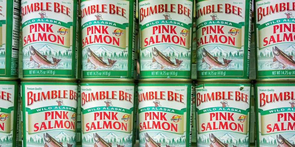 Canned salmon bumble bee pink salmon.