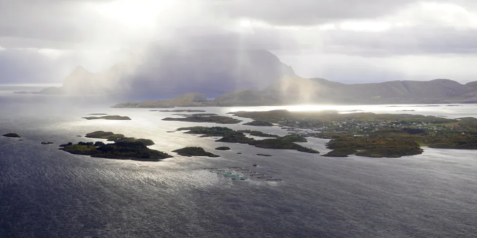 Sørarnøya utenfor Bodø i Nordland. Skal det etableres en ny oppdrettslokalitet her vil Statsforvalteren kreve kartlegging av sårbare arter.