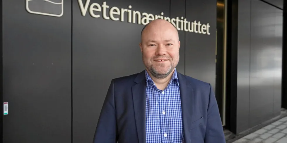 Torfinn Modal, fiskehelseansvarlig ved Veterinærinstituttet.