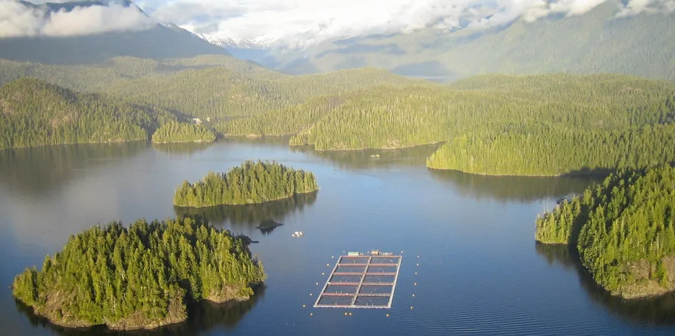 Lakselokaliteten Tofino i Canada.