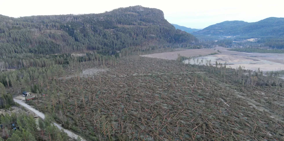 Slik så det ut etter at uværet herjet på Østlandet i forrige uke. Dronebilde fra Valdres.