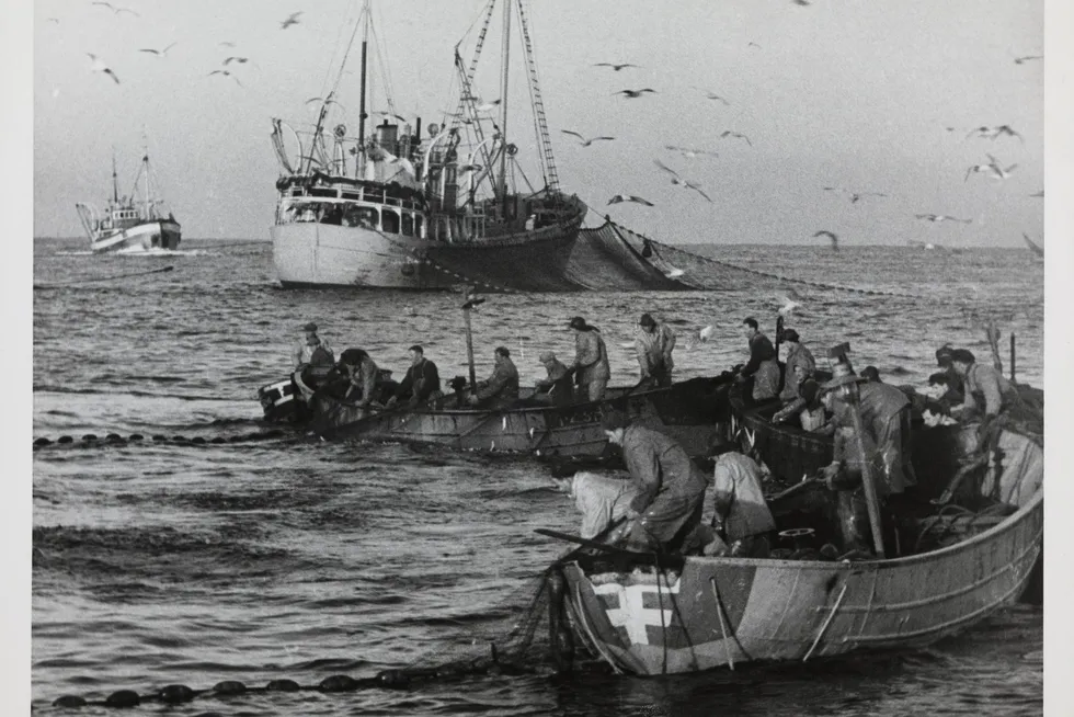 Filmen ble vist på norske kinoer i 1959.