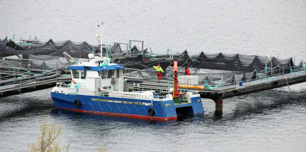 MØRE OG ROMSDAL: Vartdalgruppa Fiskeoppdrett sitt slakteri og ventemerd ligger i Vartdal i Ørsta kommune i Møre og Romsdal.