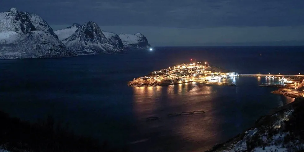 Smart Senja har testet ut hvor mye effekt man kan spare hos privatkundene hvis de minimerer forbruket en time.