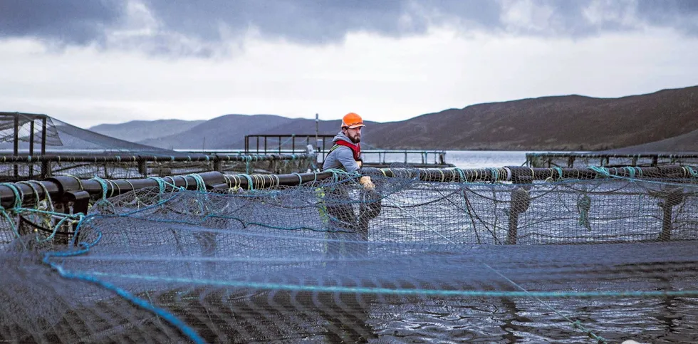 Pulling net across salmon cage, near Scalloway, Shetland. Grieg Shetland.