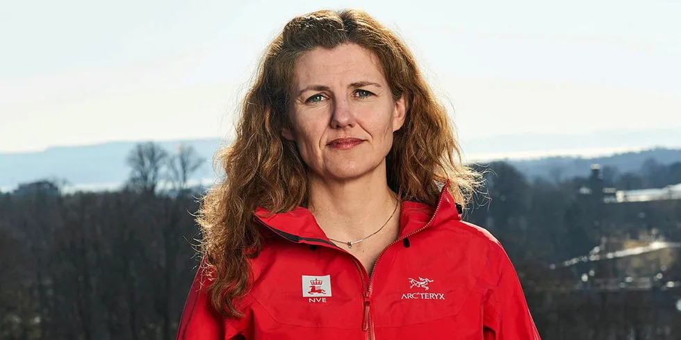 Inga Nordberg, direktør for den nye samlede energi- og konsesjonsavdelingen i NVE.