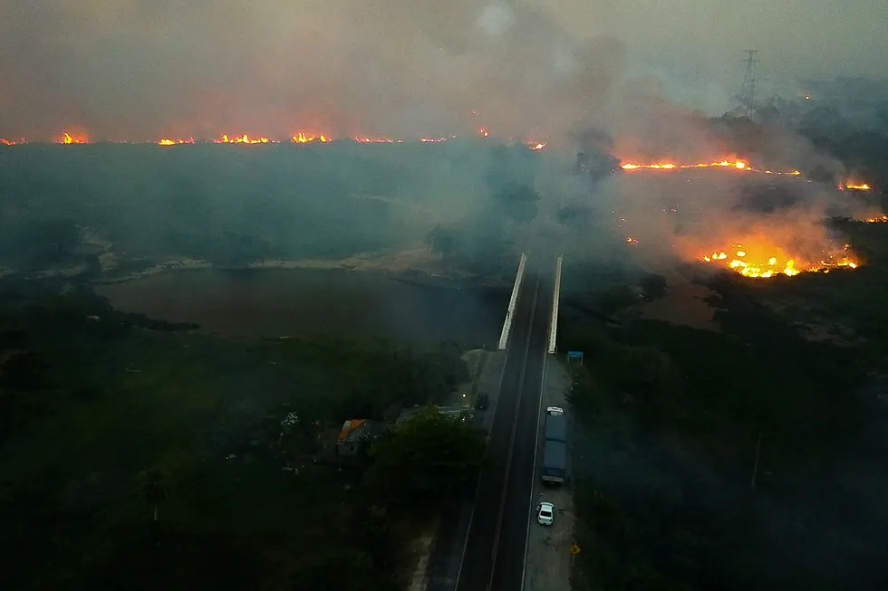 Enorme skogbranner herjer i Pantanal-regionen i Brasil.