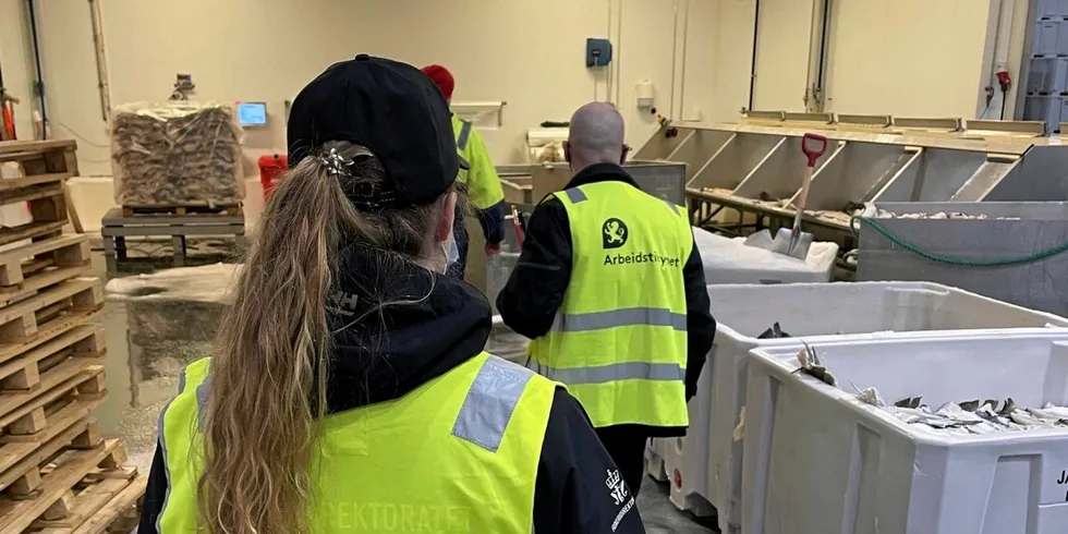 Dette mener Fiskeridirektoratet er viktig i framtidens fiskerikontroll