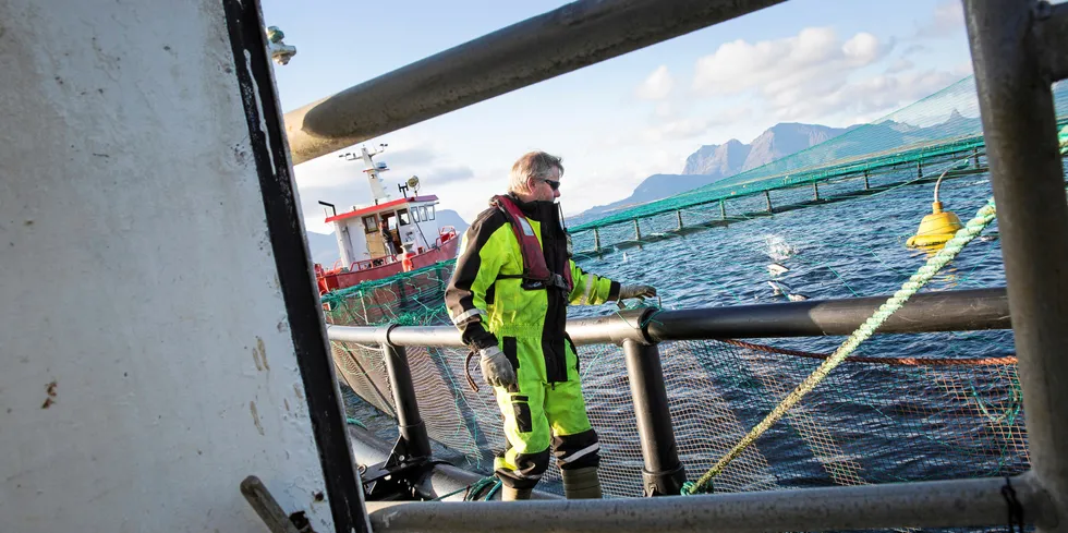 Røkter i arbeid på merdkanten