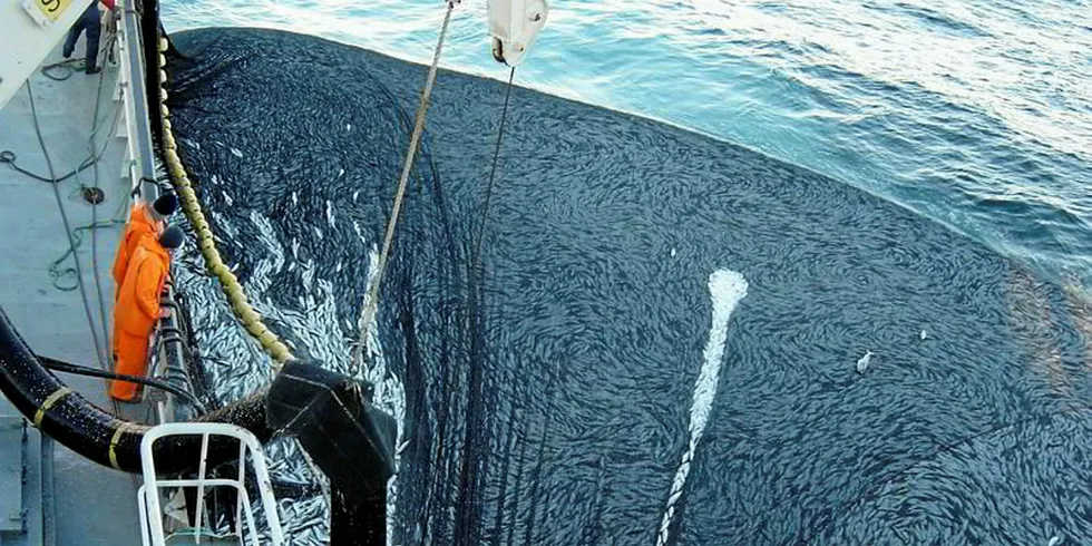 A Danish research group now concludes that ICES 'precautionary calculations of stocks have, over many years, led to a sharp underfishing of the stocks.