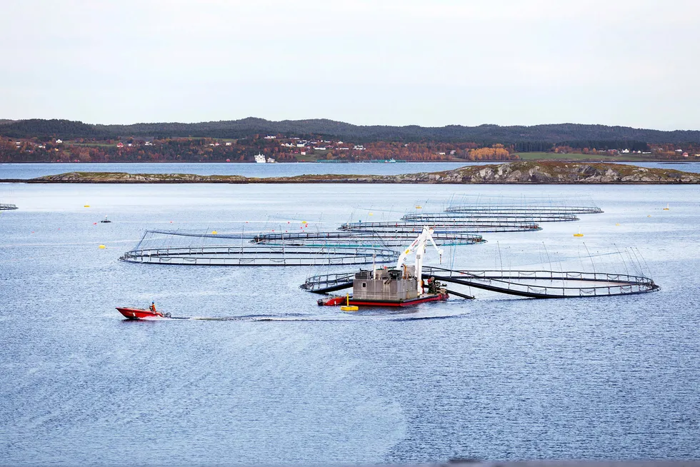 Havbruk til havs, der vannet i merdene skiftes ut på noen få minutter, kan sikre storskalaproduksjon og bedre miljøløsninger for både havet og fisken. Her fra et anlegg utenfor Hitra.