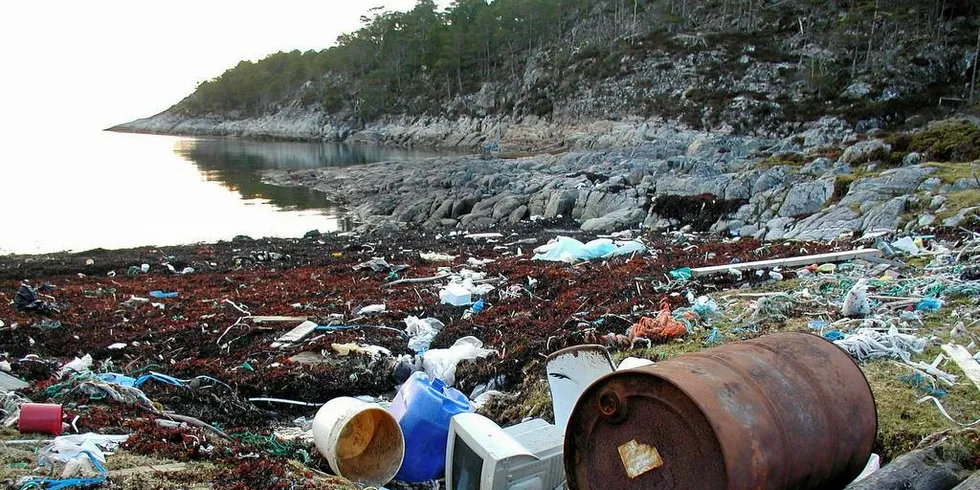 PLAN: WWF vil ha en plan for mottak av søppel fra havet i havnene. Her fra naturreservatet Røstøya på Hitra. Foto: Eivind Hellandsjø/Havneavisen