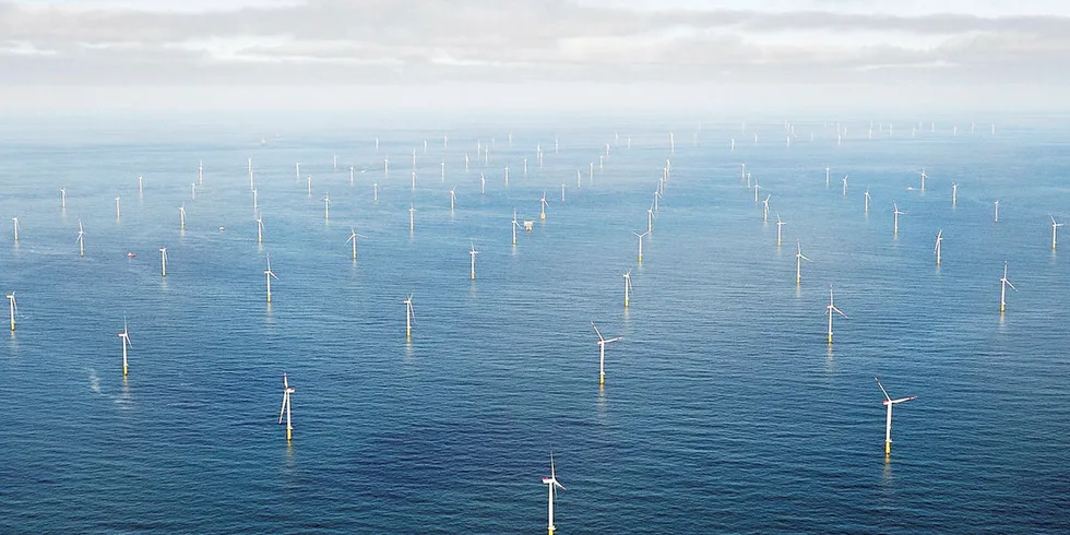 Krever store områder: For å bygge ut 450 GW havvind i europeiske farvann trengs et område på rundt 76 000 kvadratkilometer. Det tilsvarer det samlede arealet til Finnmark og Troms.