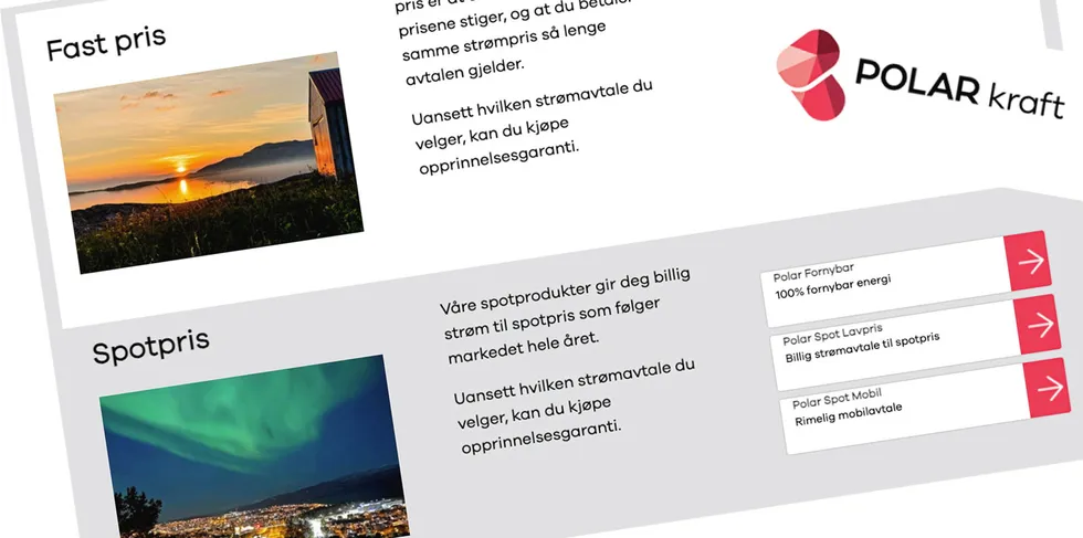 På Polarkrafts hjemmesider tilbys ikke fastprisavtaler akkurat nå - det tilbudet ble tatt ned mandag formiddag etter stor kundetilstrømning.