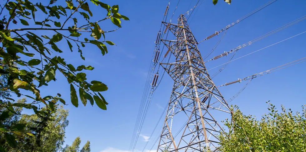 Sørlandet har høyest strømpris i Nord-Europa søndag – topp på nær 7 kr/kWh